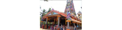 விசவத்தனை முருகன் கோயில் - பண்ணாகம் 